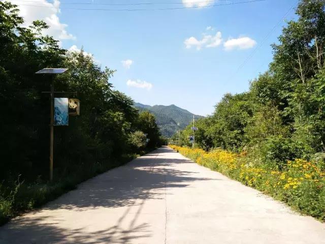 66.jpg