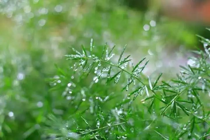 ΢ÐÅͼƬ_20200614200628.jpg